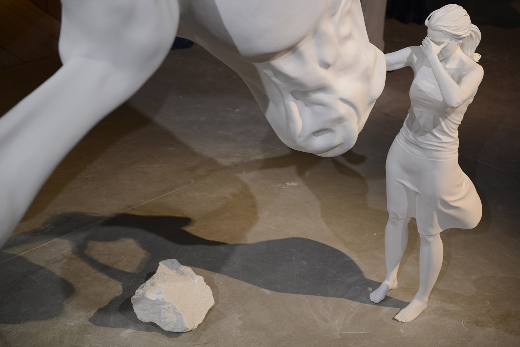 问题之马 / Claudia Fontes-9