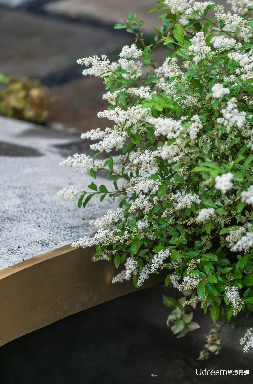 太湖院子 | 新中式庭院,悠然诗意生活-17