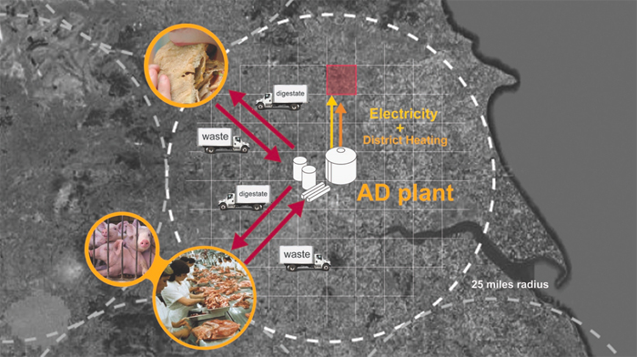 剑桥郡厌氧消化器工厂丨英国剑桥丨Boyarsky Murphy Architects-6