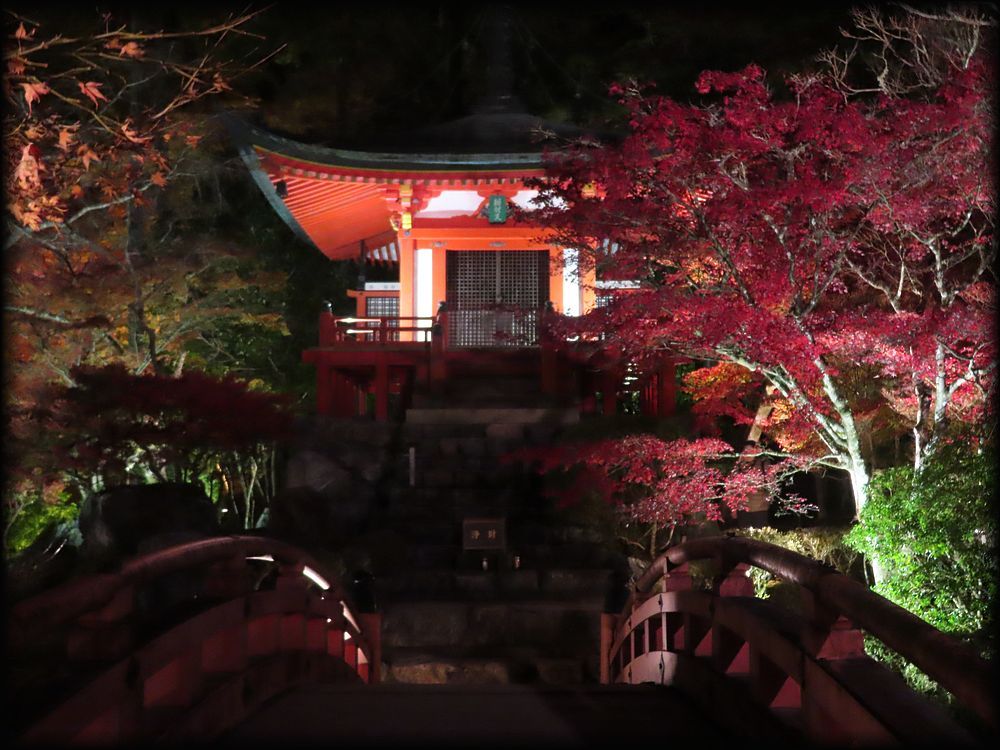 醍醐寺金堂・五重塔及三宝院庭園丨日本京都-19