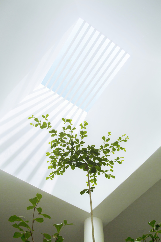 印度 Perinthalmanna 零工作室住宅改造-71