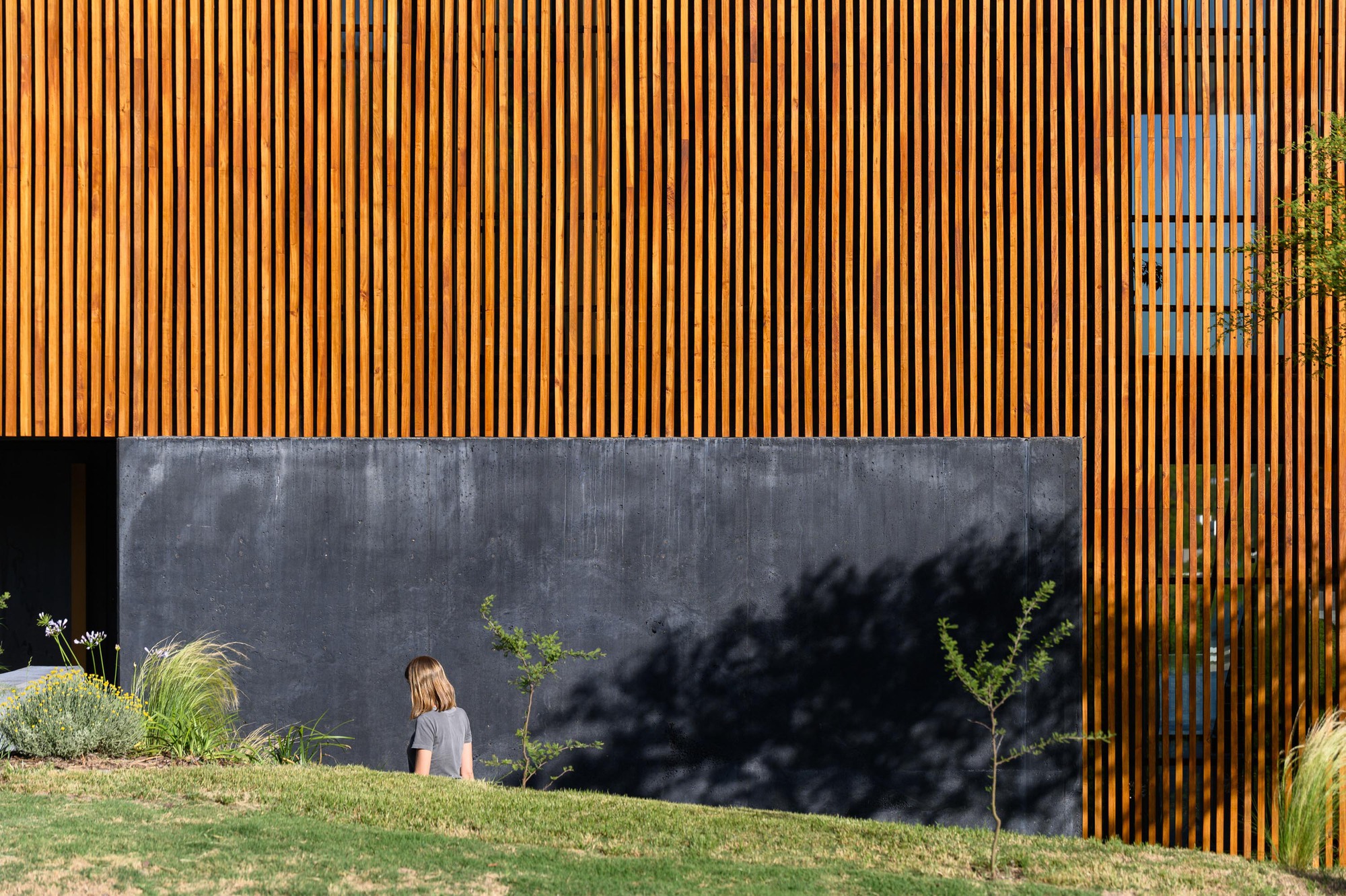 黑房子 或 黑色房屋 丨阿根廷科尔多瓦丨AR Arquitectos-24