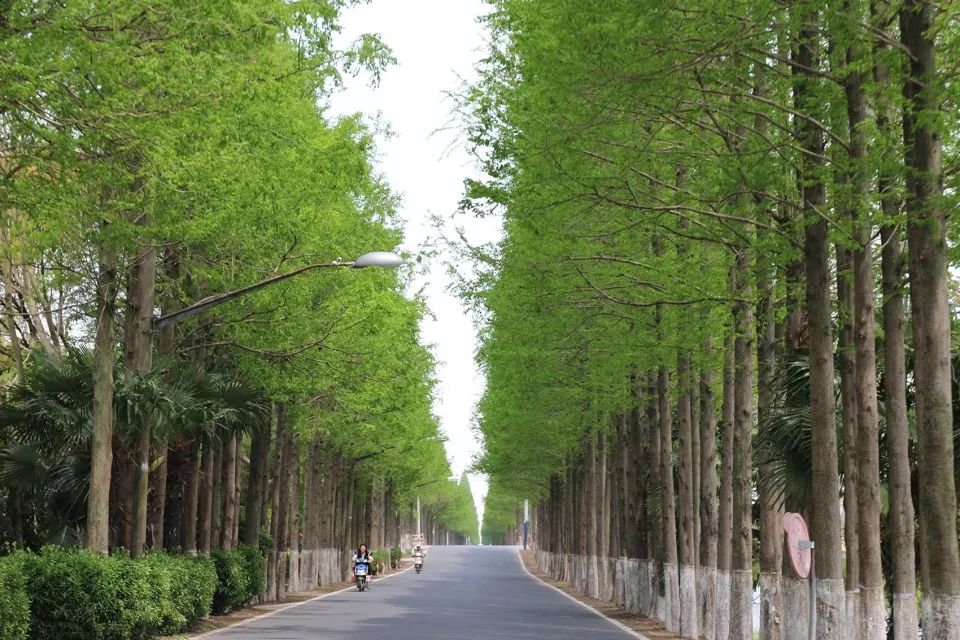 崇明稻米文化中心二期 | 粮仓变身的米文化体验空间-21