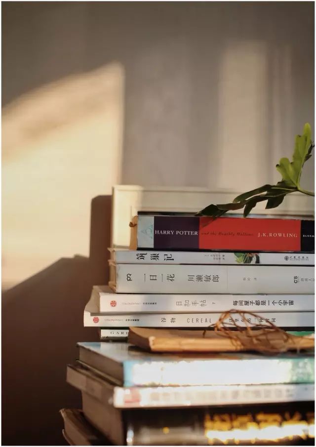 两个小女生，造了一间全镇上最文艺的花房，从此与花草为伴-73