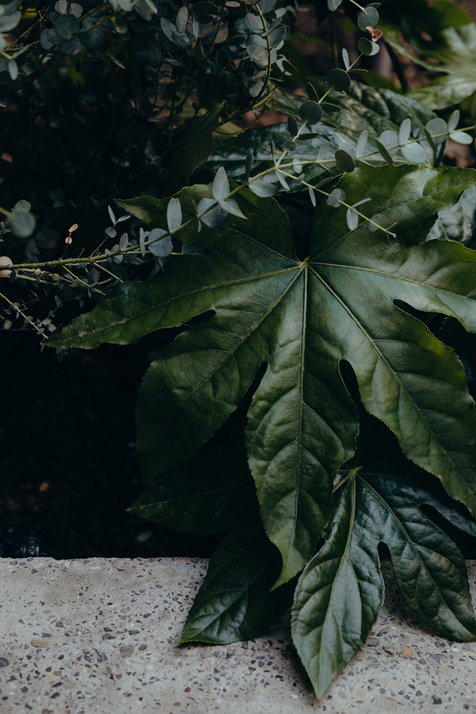 Fabriek Botaniek 办公空间丨比利时丨安特卫普 Going East 工作室-72