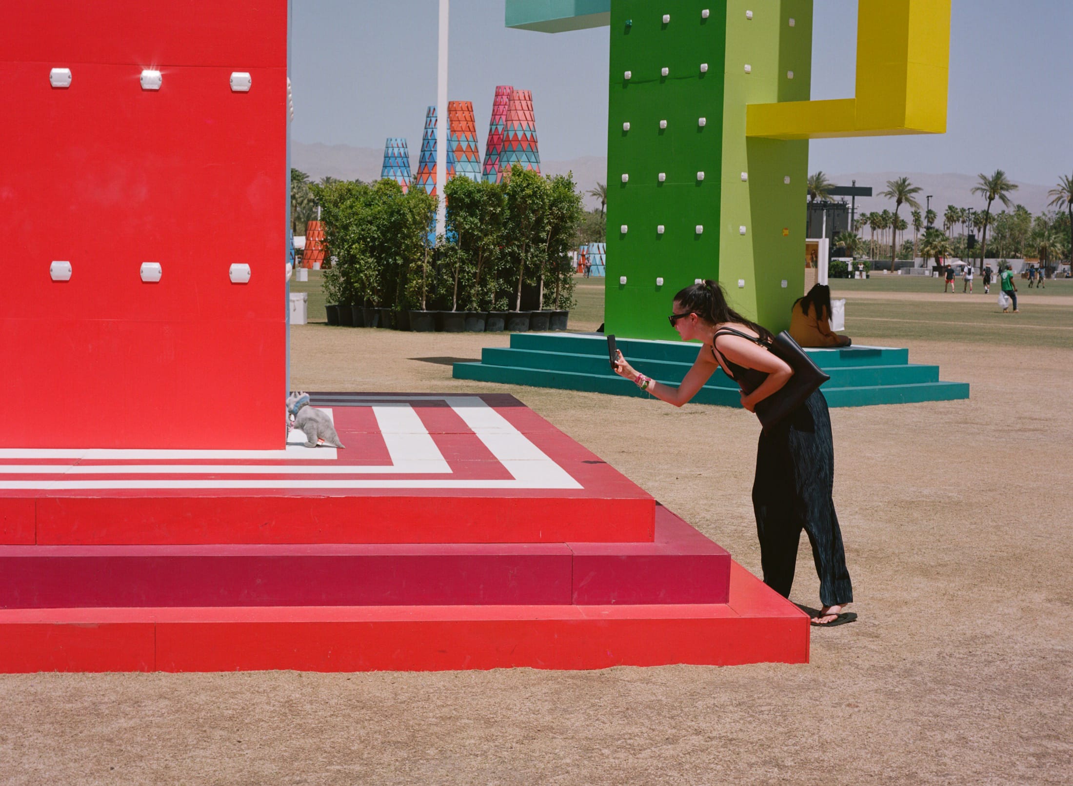 巨大仙人掌,科瓦奇办公室-15