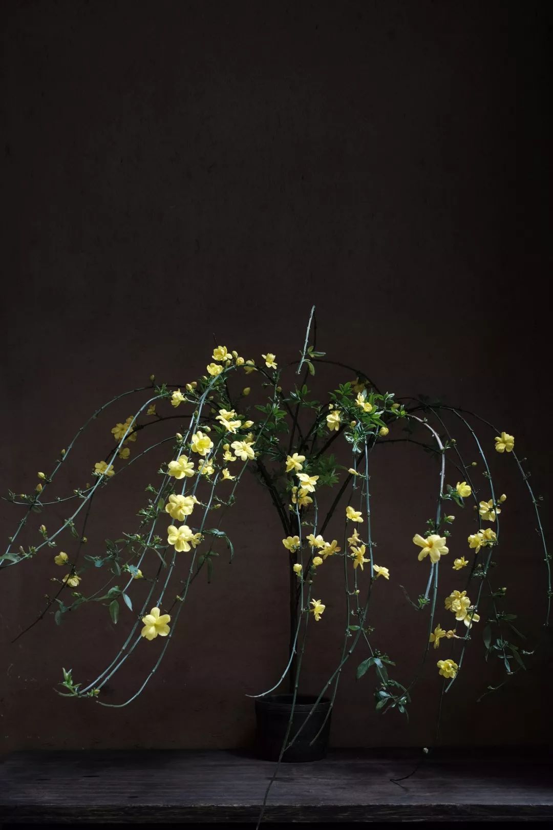 茶空间花道艺术 | 传统与现代的完美融合-14