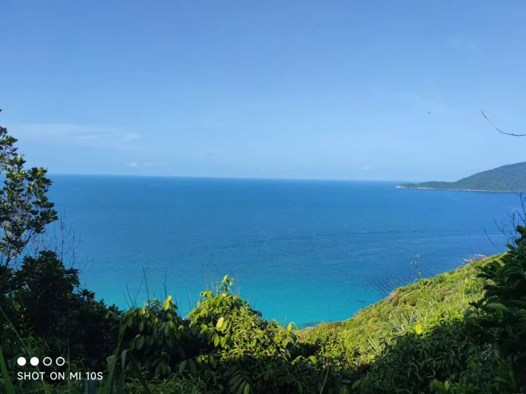 经验谈No.281｜看工作党收割UCL/米理等offer！毕业后脱产申请，白天上班、晚上做作品集连斩名校offer！-76