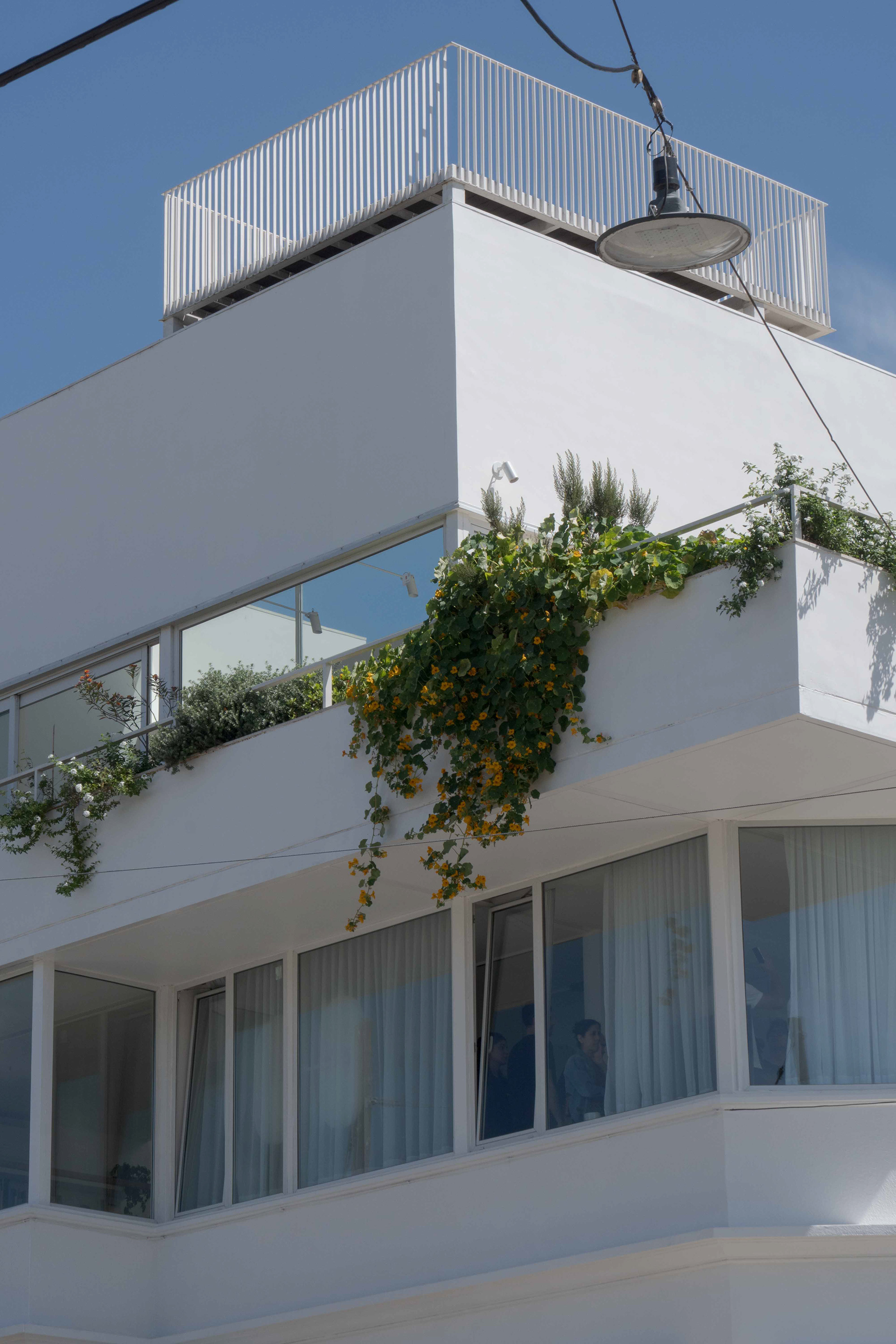 PH Nuñez UNO | Fotografía-7