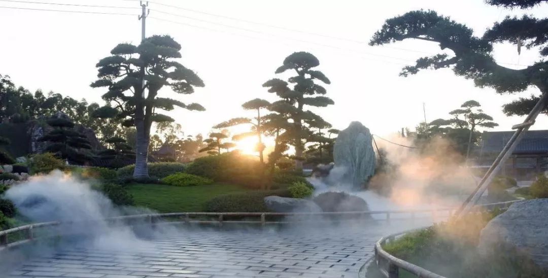 南宁罗汉松园 | 写意山水与天人合一的现代园林-63