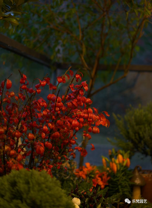 乐梵造园 | 成都滨江地产的花园房设计-100