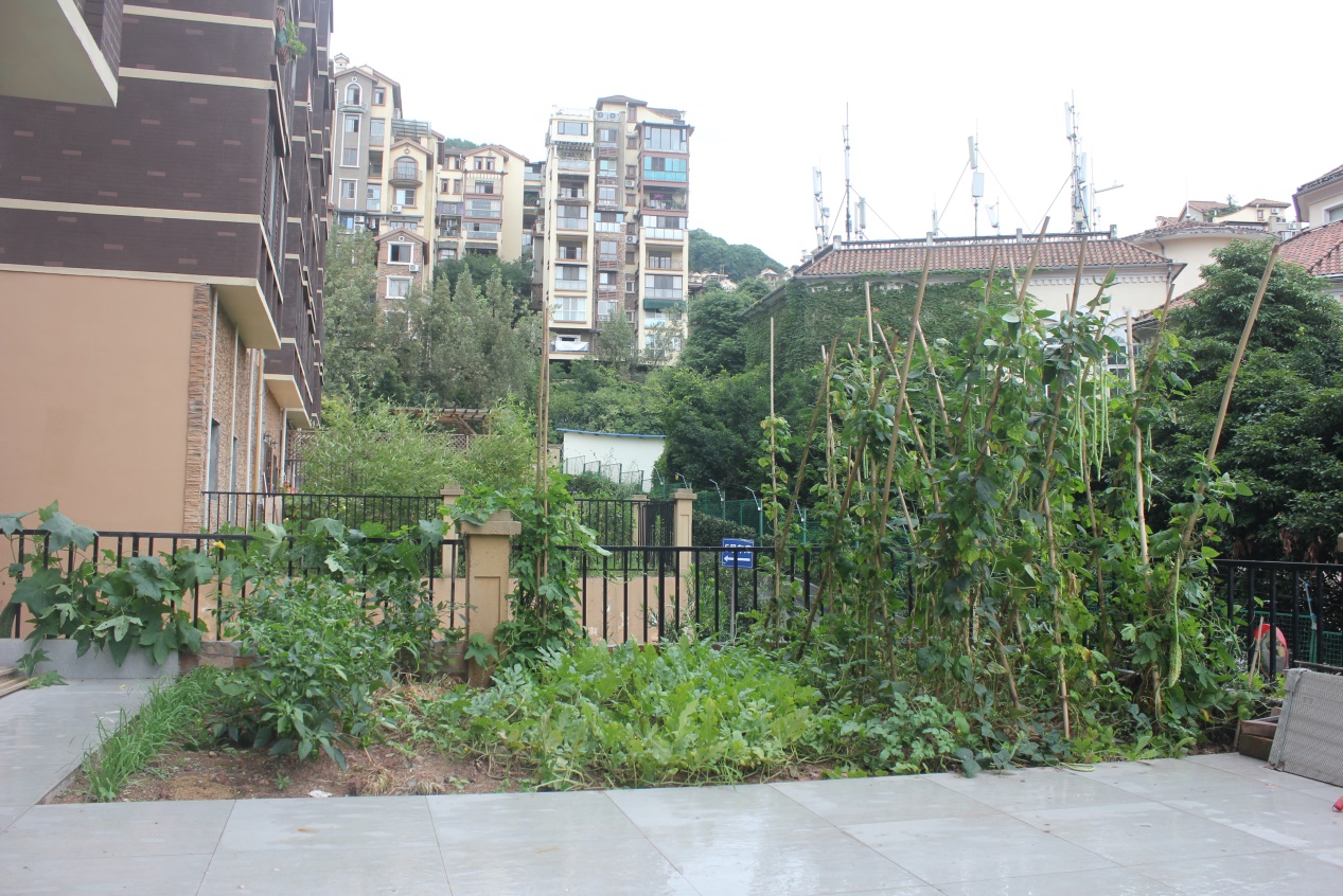 创远十里缇香-72