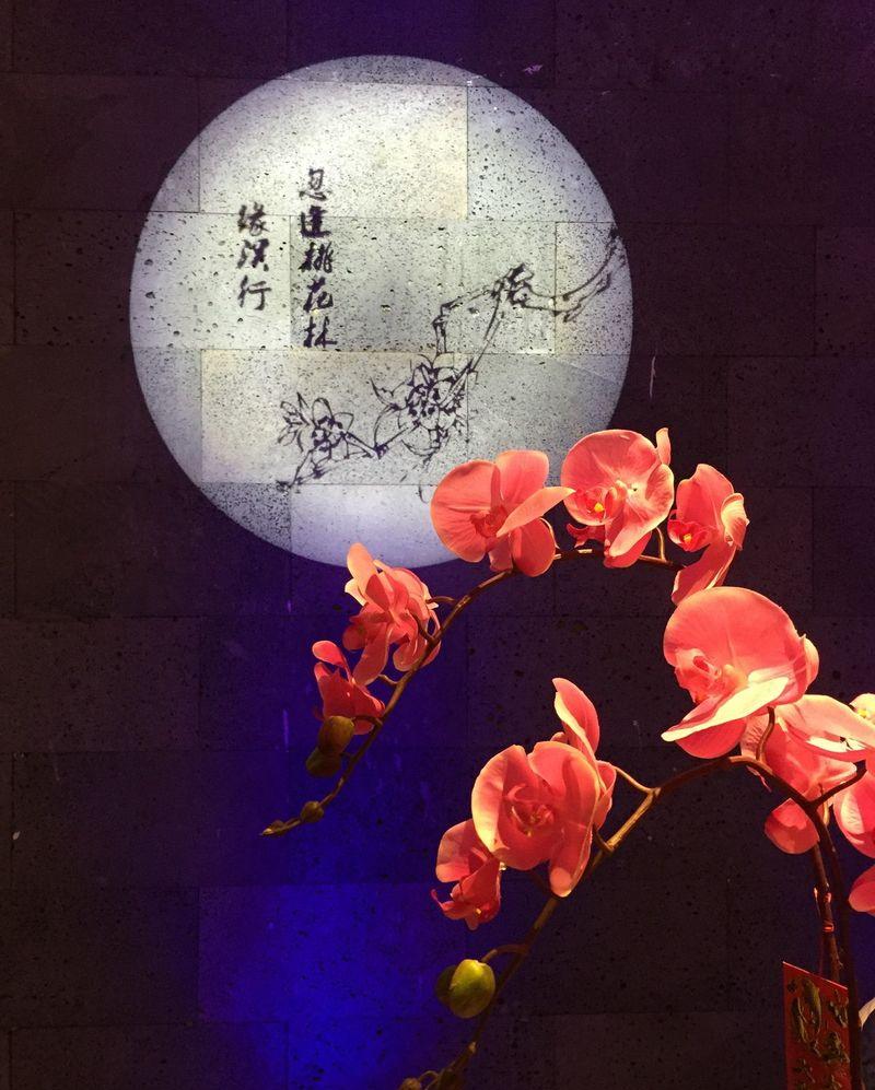 柳州世外桃源餐厅-16