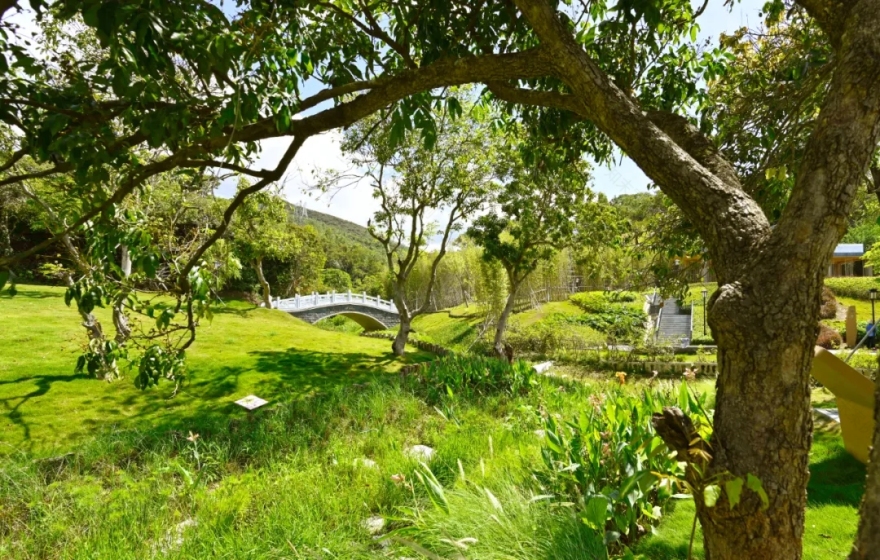 深圳大鹏新区“山·水”文化生态康氧主题丨中国深圳丨新城市设计-17