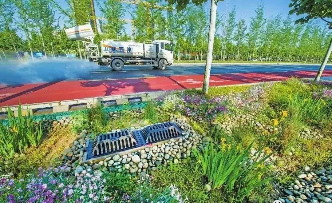 英国友人冒雨打卡海绵城市，意景设计师陪同揭秘海绵城市的“中国答案”-28