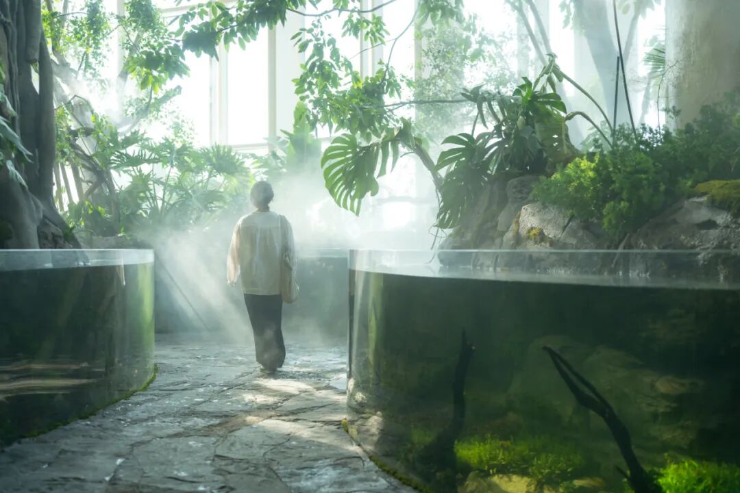 重庆光环花园城·世界树 光环2.0之机械魔法森林丨中国重庆丨WTD纬图设计-22