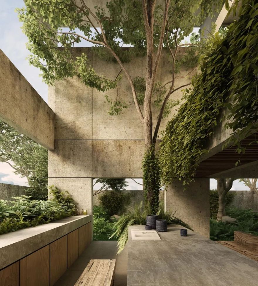 皮纳尔之家丨墨西哥丨V Taller-27