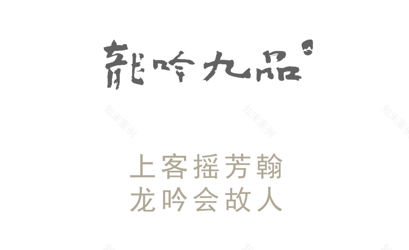 龙吟九品(天元爱涛店)丨中国南京丨大相设计-1