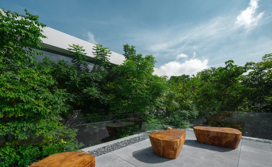 曼谷 PK 住宅庭园丨泰国曼谷丨Landscape Tectonix Limited-11