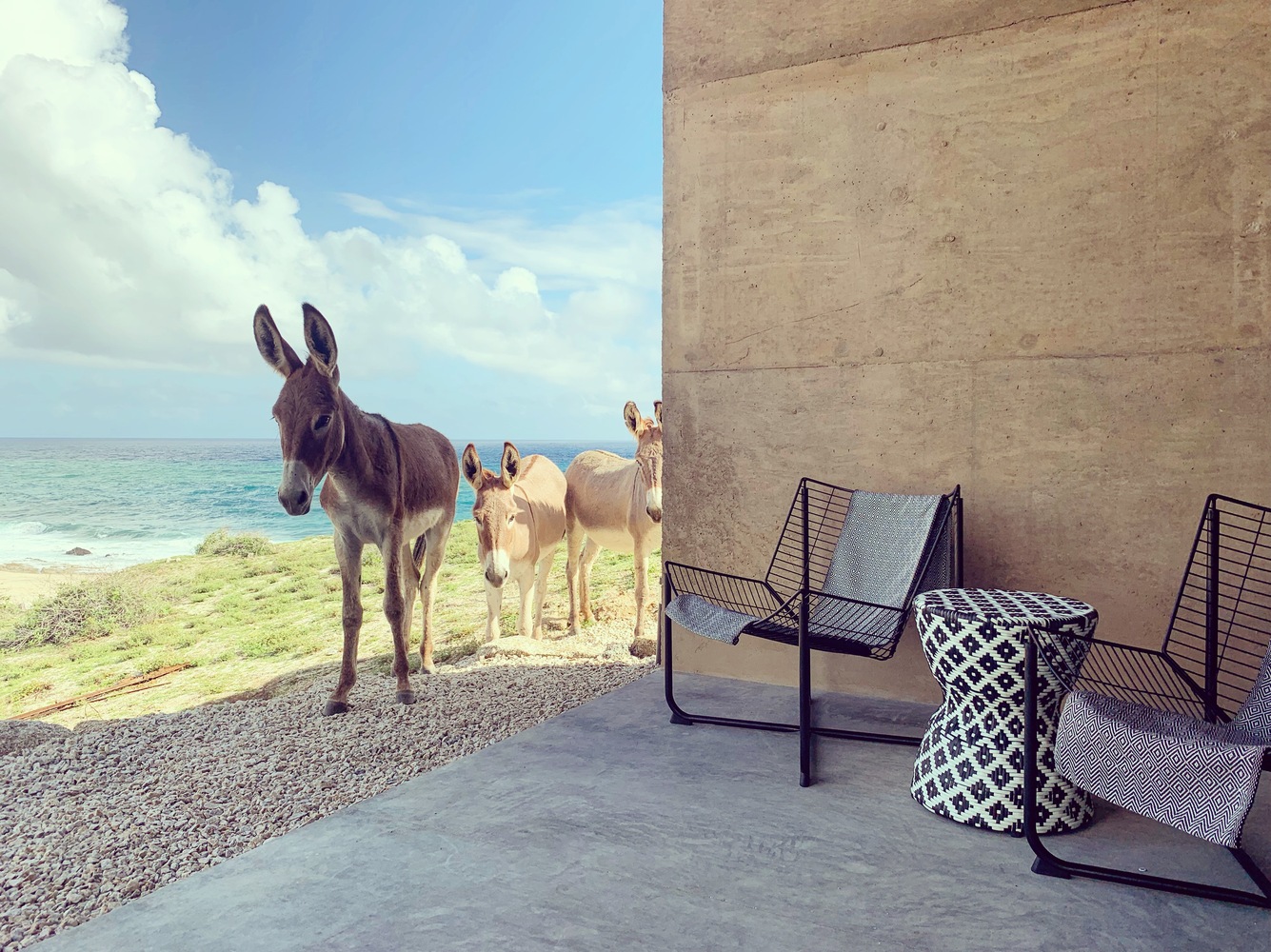 墨西哥阳光海滩现代别墅-40