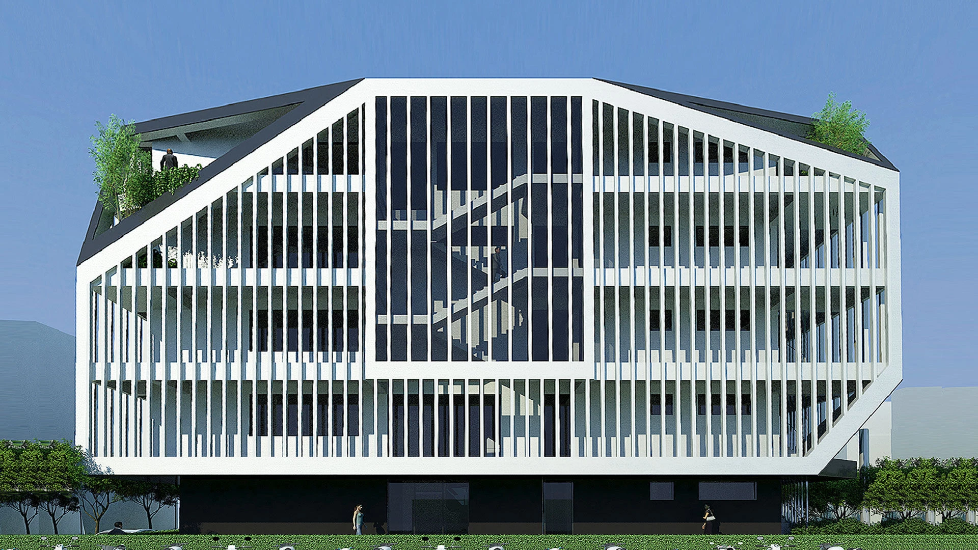 眼睛 或 眼 或 目丨尼泊尔丨MAP-34