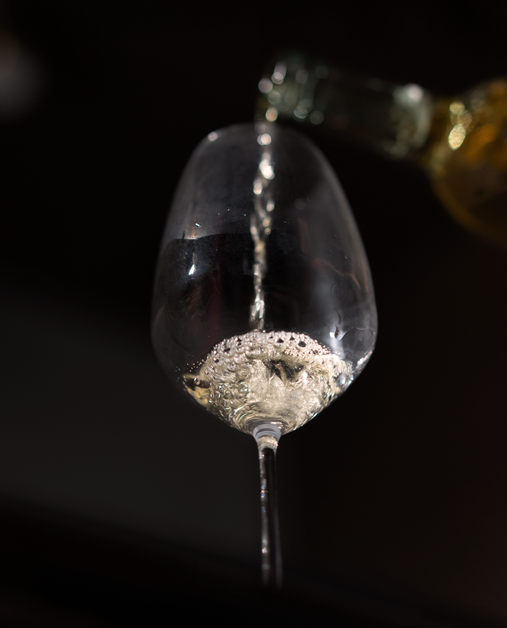 Tommasi Culinary Tales-12