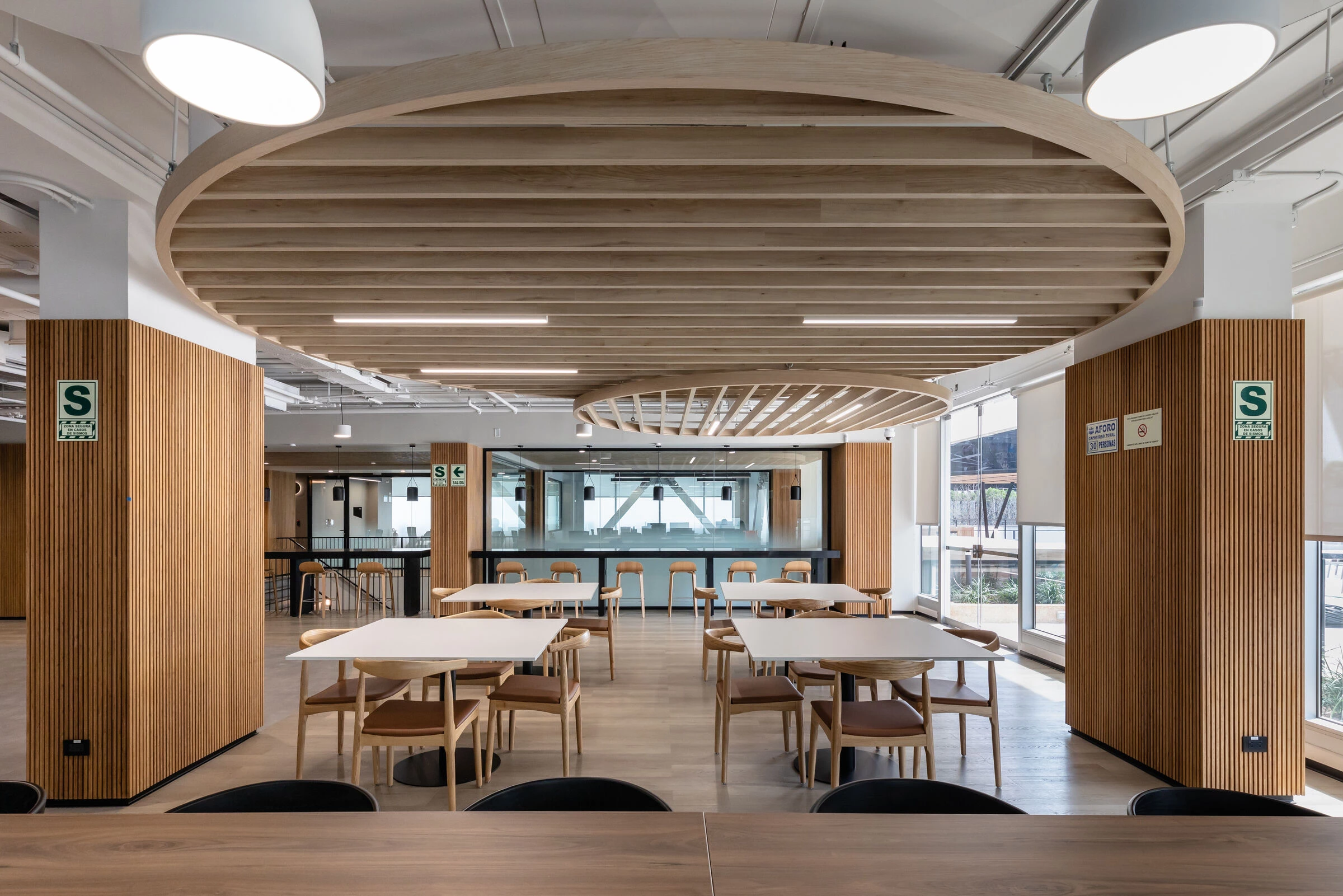 弗勒·比于尔巴诺娃丨秘鲁利马丨DRRP Spaces-6