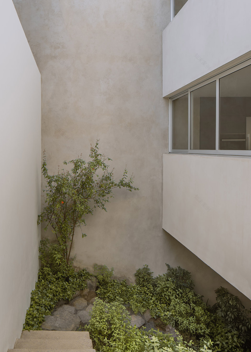 CAÑADA 之家丨墨西哥丨Escobedo Soliz-60