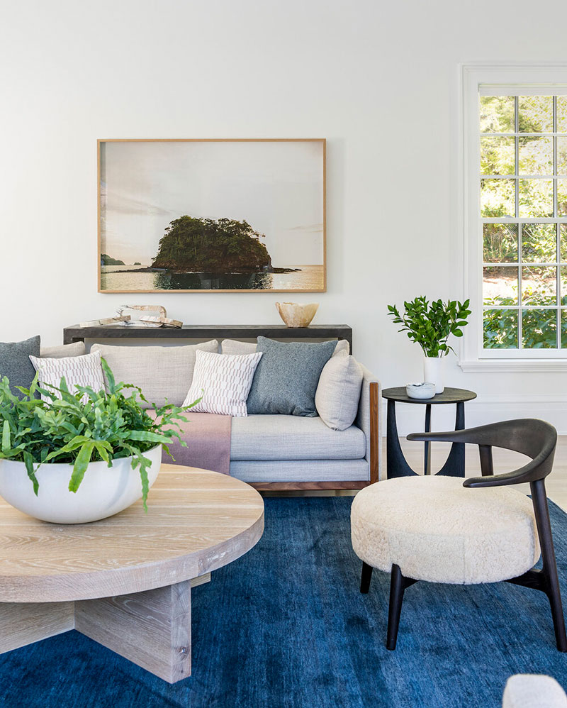 波士顿蓝色客厅美丽后院住宅设计-14