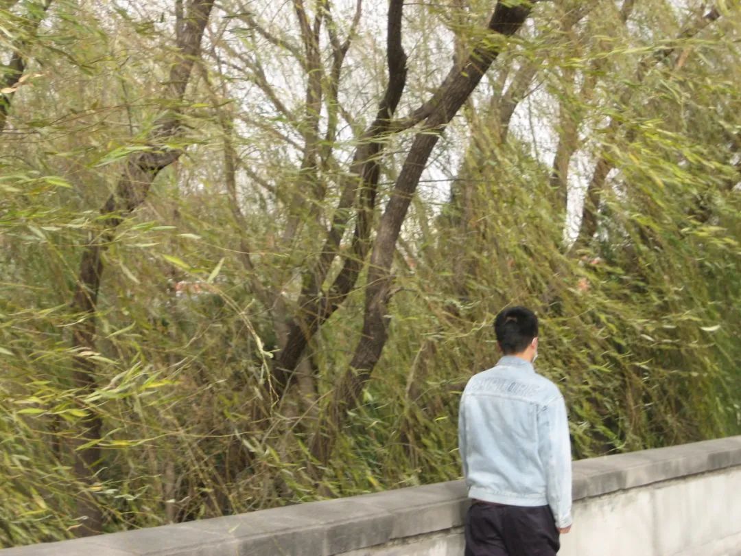 BoiEwan  局部北京-11