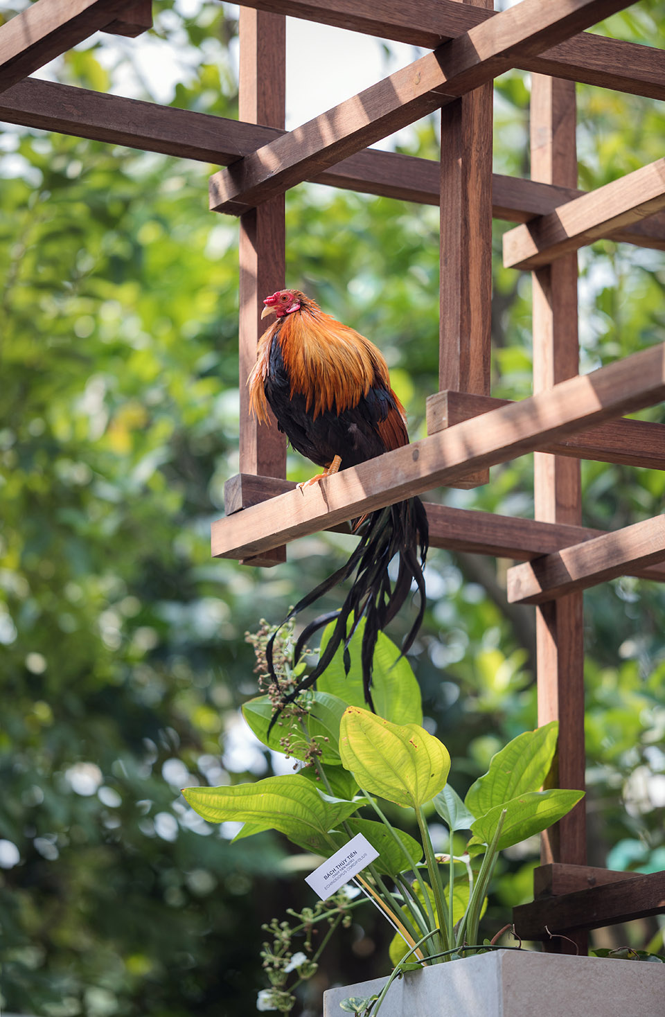 VAC城市生态模型，越南 / Farming Architects -53