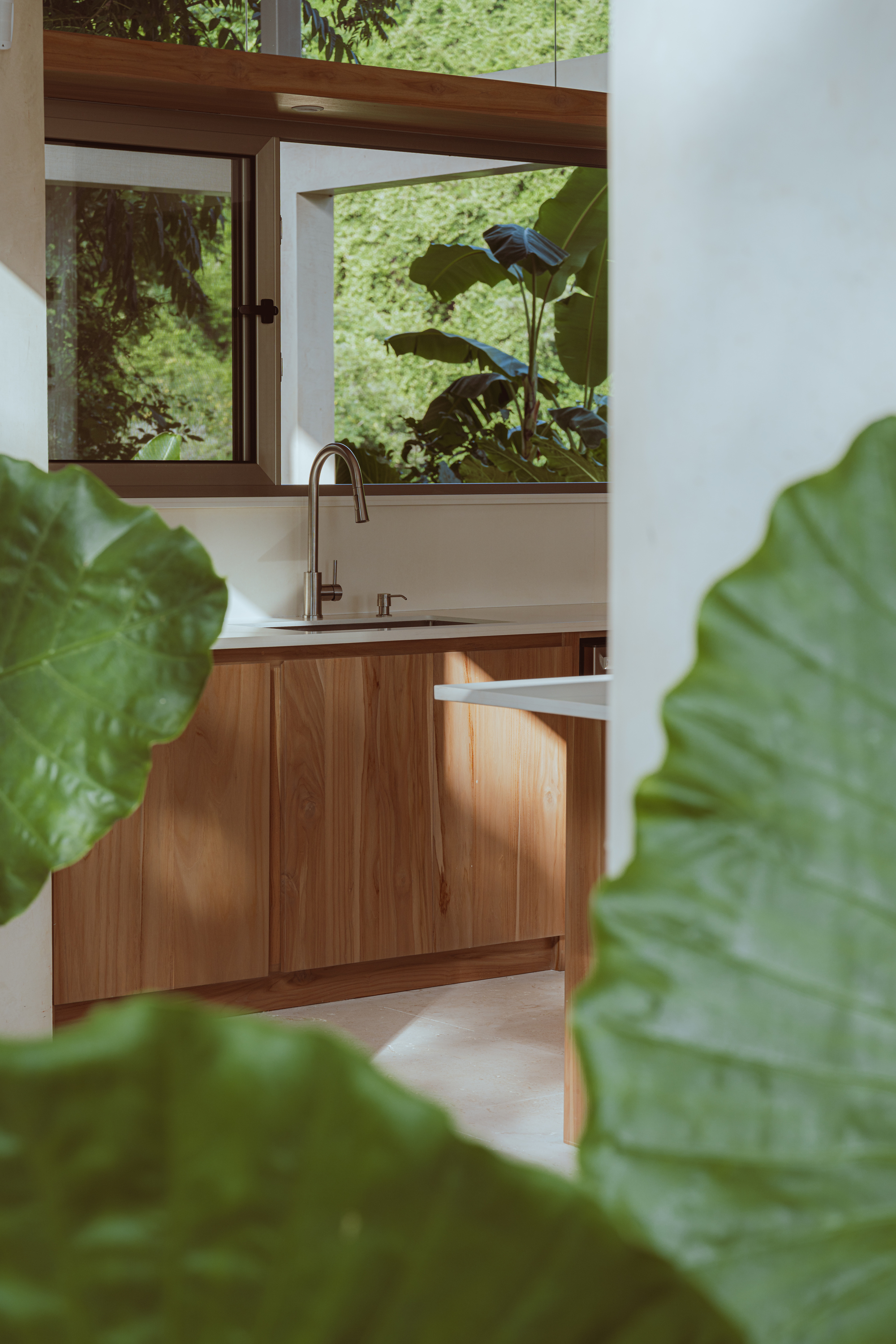 丨哥斯达黎加丨Estudio D3B-49