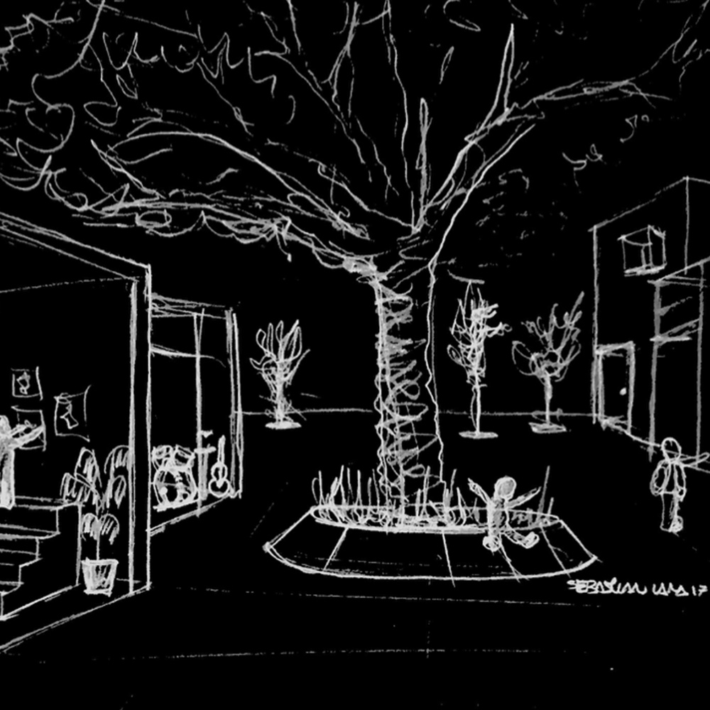 墨西哥生境学习社区（Habitat Learning Community）-47