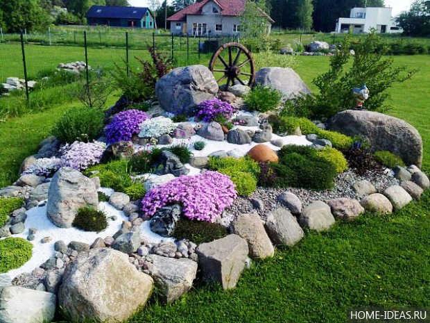 自制阿尔卑斯式假山（阿尔卑斯式花坛）-141