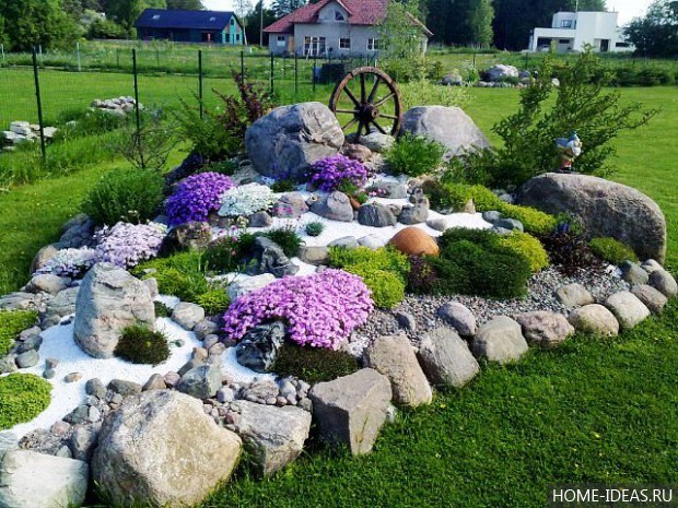 自制阿尔卑斯式假山(阿尔卑斯式花坛)-141