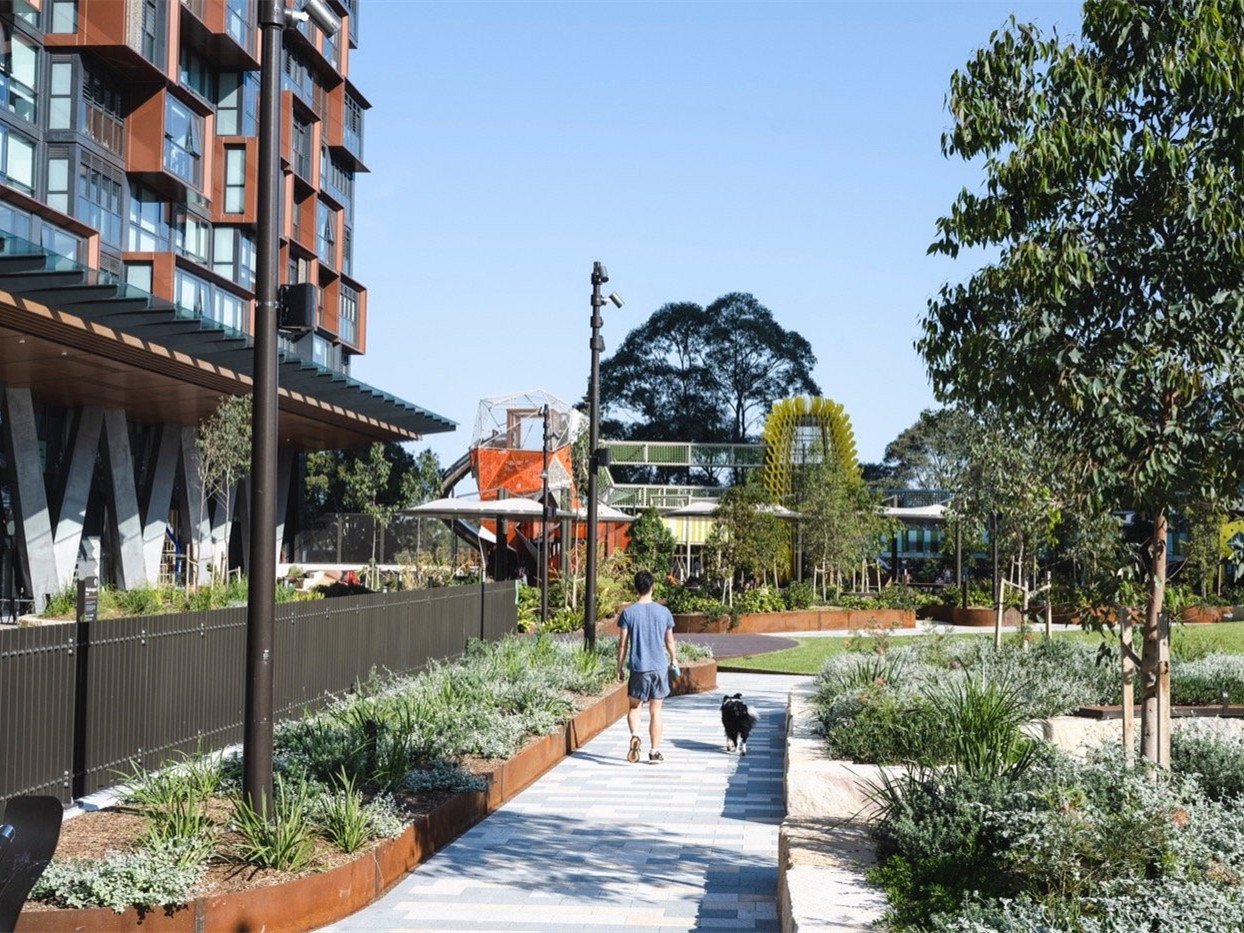 澳大利亚瓦当加里公园丨阿卡迪亚-2