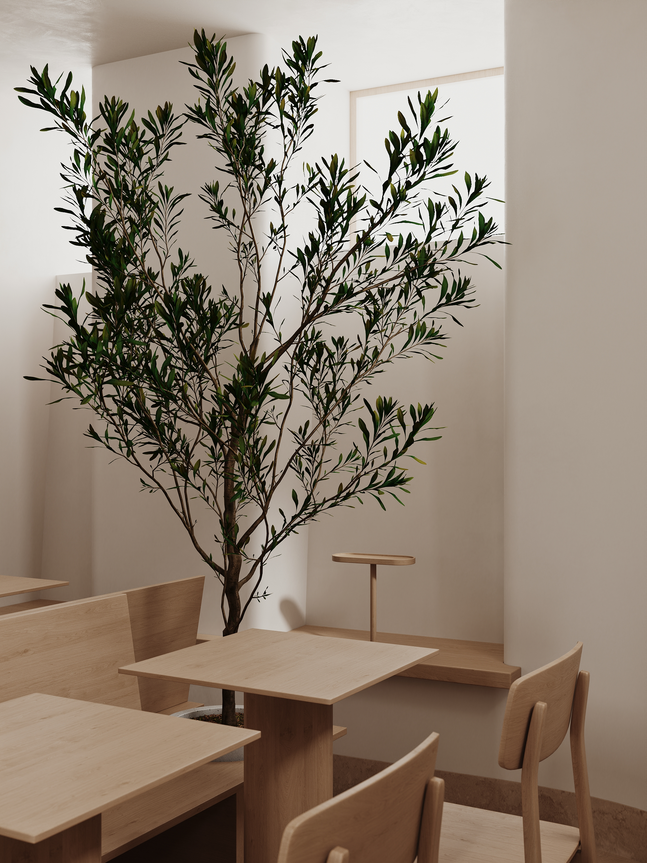 吹不出褶子的平淡日子里也会发光-6