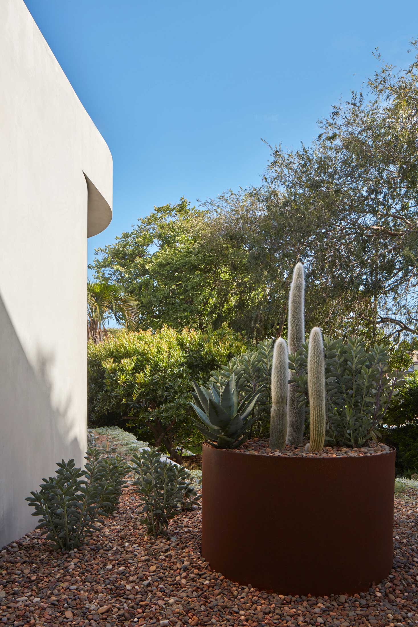 混凝土与绿意的和谐共舞 · Grove House丨澳大利亚悉尼丨Clayton Orszaczky-47