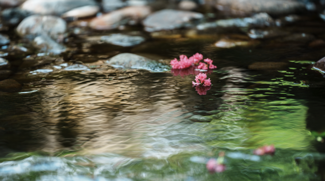 云东境·禅奢疗愈酒店丨中国徐州丨GAD杰地设计,ZSD卓时设计-81