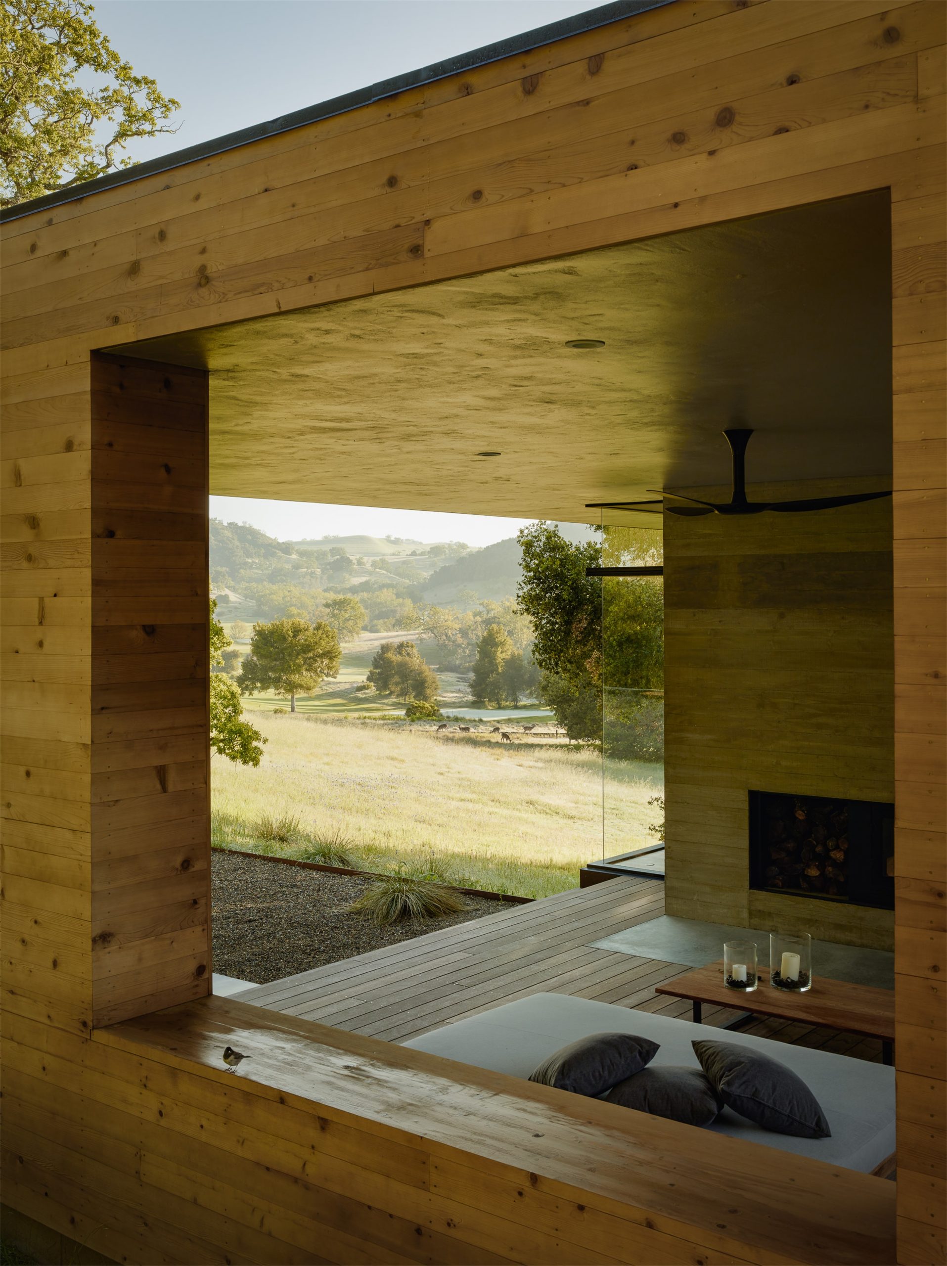 自然生长 · 私宅景观丨美国加利福尼亚-42