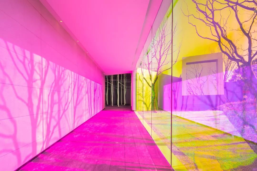 香港置地云山岳 | 无限沉浸的光影艺术空间-9