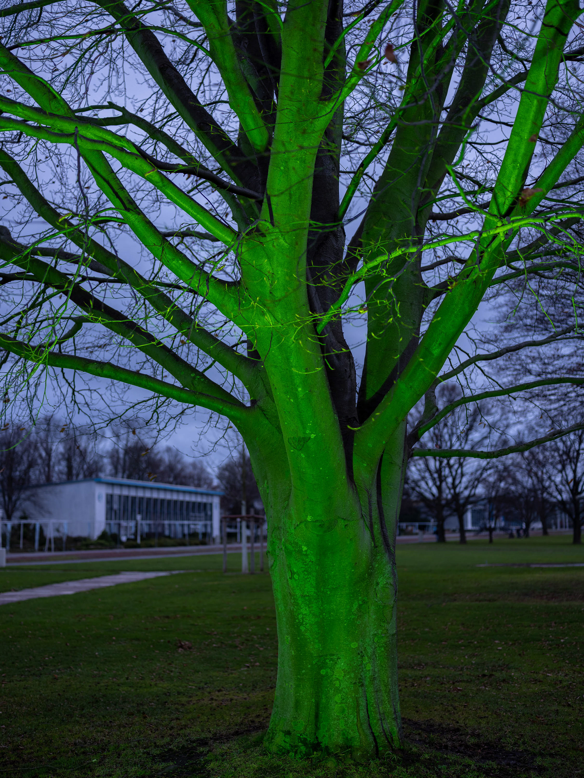 冬日之光丨德国-22