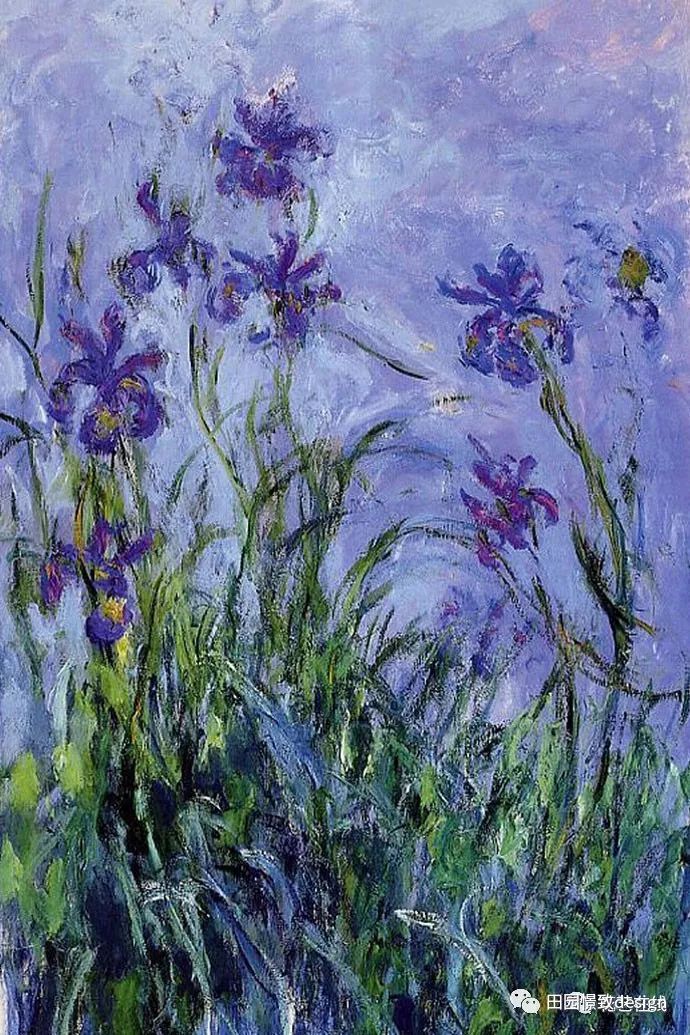 莫奈《鸢尾》的浪漫演绎——德阳香江华府 130 平米空间设计-1