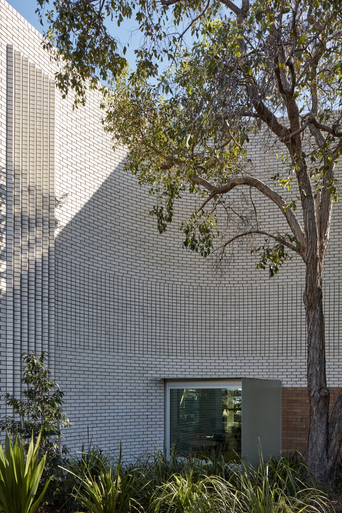 Cannon Hill Anglican College D Block | 融入自然的灵活学习空间-47