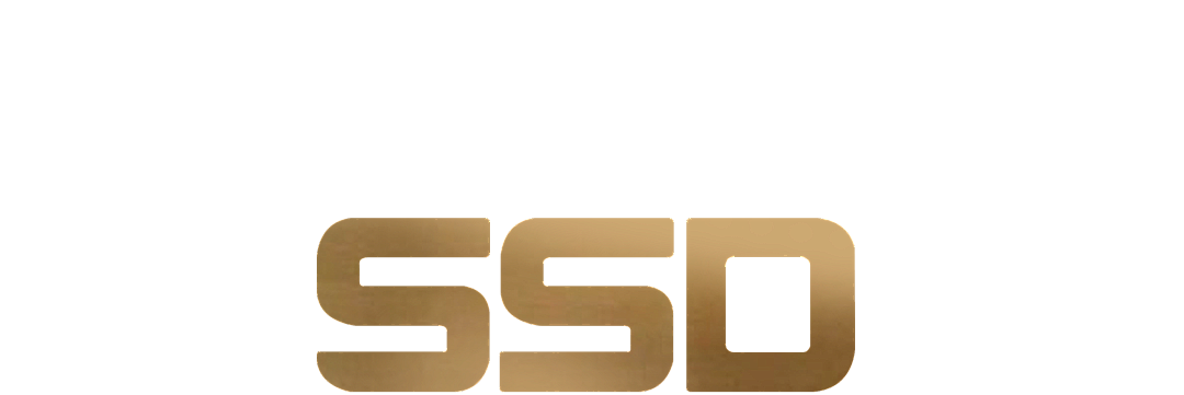 盛京之势,雅朴之地丨中国沈阳丨SSD-0