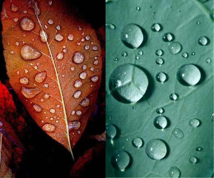 石家庄华耐家居展厅改造丨中国石家庄丨ISCD象境（天津）环境艺术设计有限公司-11