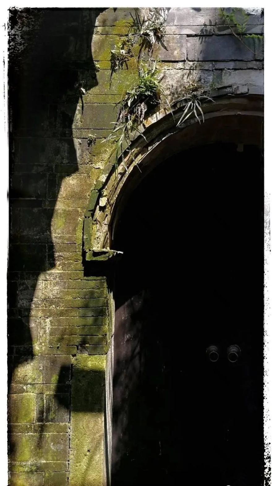 自然主义的优雅转身 | 台州岭上会康平路店设计赏析-4