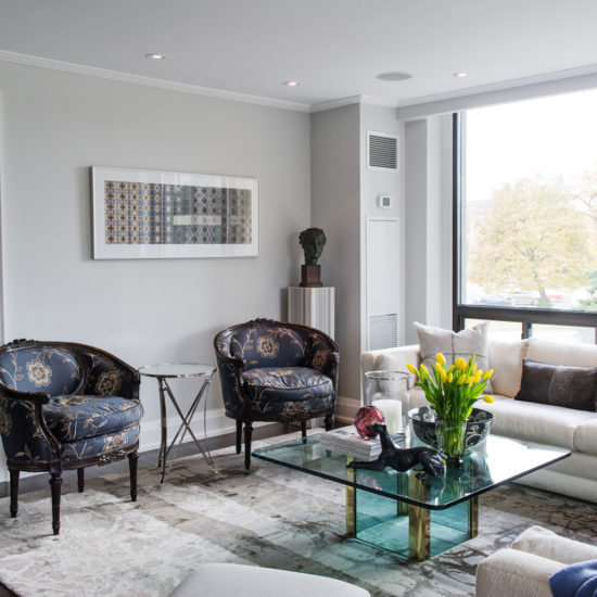 Avenue Road公寓重建项目丨Timothy Johnson Design-5