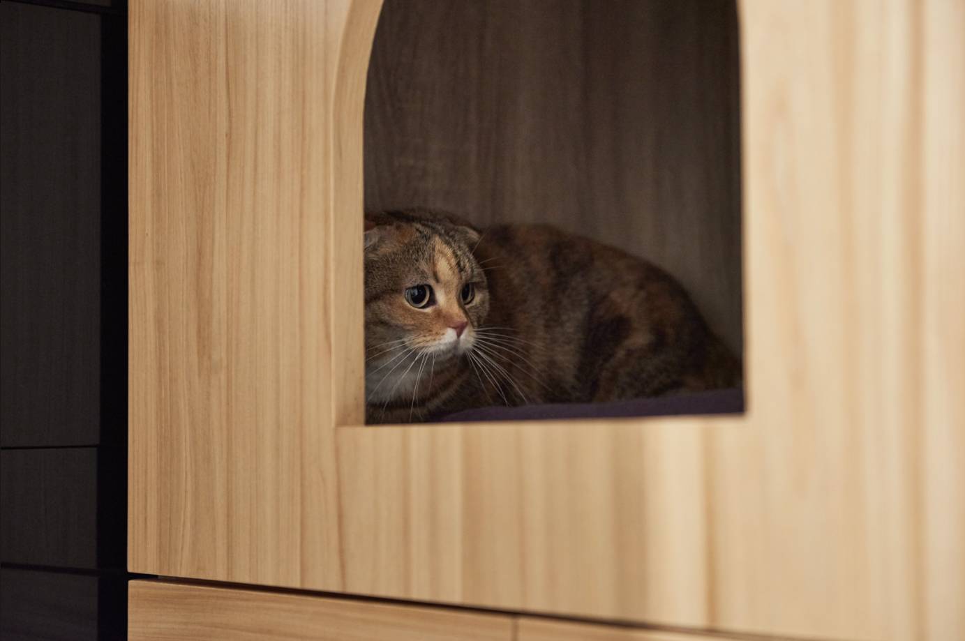 台北 90㎡现代家居,人猫共融的生活空间-46