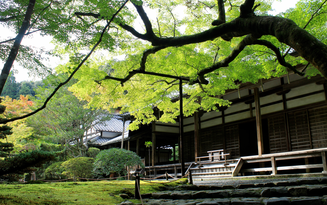 梦窗疏石·禅庭闲寂丨日本-70